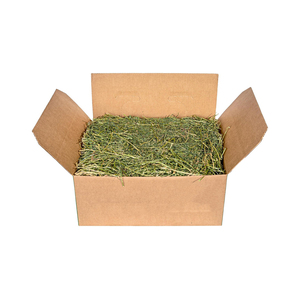Heno de Alfalfa Curado al Sol de Alta Calidad, Alimento Comercial para Ganado, Ovejas, Cabras y Caballos, OEM Disponible - Product Image 2