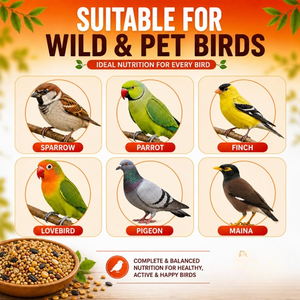 Alimento Premium Orgánico para Aves y Gallinas, Mezcla de Frutas y Semillas, Alto en Proteínas, Nutrición Diaria, Crecimiento Saludable, Refuerzo del Sistema Inmunológico - Product Image 5