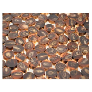 Fabricante de Botones en Blanco Hechos a Mano con Cuerno de Búfalo Ecológico, Colores Negro Natural y Dorado, Varios Tamaños - Product Image 3