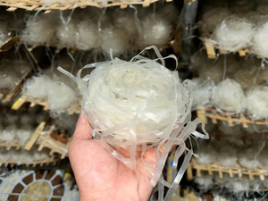 Nouilles de riz vietnamiennes | Exportateur de Pho, Vermicelles et Nouilles Instantanées (Esther) IIGLOBAL FARM Fournisseur en Gros - Product Image 4
