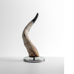 Decorative Show Piece Bull Horn for Table and Wall Decorative Long Ox Horn Natural Buffalo Horn for Home Decoration - Product Image 4