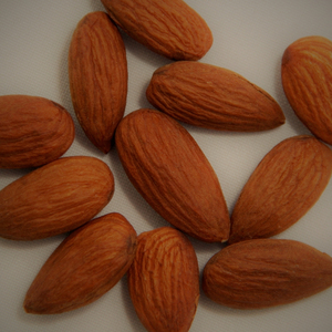 Amandes séchées riches en protéines, expédition en vrac pour les acheteurs de collations saines et les commerçants d'ingrédients alimentaires naturels - Product Image 2