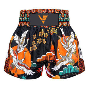 Shorts de Muay Thai de Color en Contraste Hechos en Pakistán a Precio Económico, Shorts de Muay Thai de Alta Calidad y Cómodos para Hombre - Product Image 1