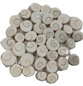 Cabochon en coquille d'œil de Shiva naturelle en gros, cristal de guérison, bijoux Reiki, poli, taille brillante, blanc, en vrac, directement de l'usine - Product Image 1