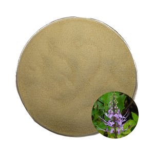 Top Sale Misai Kucing Orthosiphon Aristatus Extract Powder Premium Quality Halal OEM B2B <b>Best</b> Supplier Guarantee Kidney Health - Product Image 1