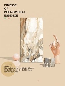 CARREAUX DE PORCELAINE TAILLE 1200X1800MM 120X180CM CARREAUX DE SOL et DE MUR CONCEPTEUR D'INTÉRIEUR COLLECTION DE CARREAUX VÉRIFIÉS EXPORTATEUR INDE - Product Image 3