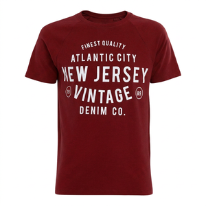 T-shirt à manches courtes en coton biologique tricoté sur le devant, col rond, coupe classique, pour homme, de Atlantic City New Jersey Vintage Denim Co. - Product Image 4