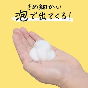 JAPAN KAO Merit Kids Jabón Espumoso para Manos con Extractos de Plantas Hidratante para Niños - Product Image 3