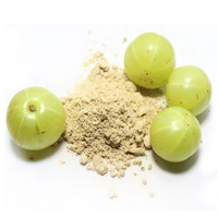 100% Zuivere Amla Poeder Hoge Kwaliteit Natuurlijk Amla Fruitpoeder Groothandel Leverancier voor Sap Drank voor Haar Groothandel Leverancier uit India
