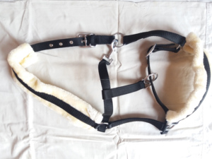 Fabricante indio cintas acolchadas de nailon de alta calidad Halter para equitación ecuestre nuevo diseño disponible para venta al por mayor - Product Image 4