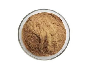 Poudre d'Herbe de la Bourrache (Berberis Vulgaris) pour le Bien-être Ayurvédique Traditionnel, Soin Herbal Naturel et Utilisation Quotidienne - Product Image 1