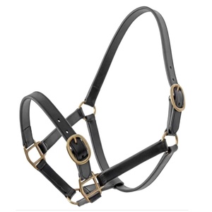 Cabestro de Cuero de Lujo para Caballo con Herrajes Originales de Latón, Doble Ajuste en la Cabeza, Acolchado de Cuero Suave, Estilo Inglés - Product Image 3