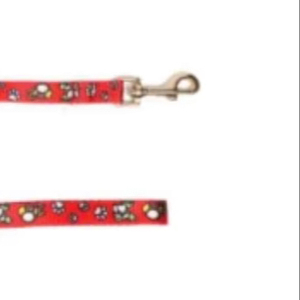 Professional Dog Training Nylon Leash for Outdoor <b>Pet</b> Activities from Divine International - Product Image 1