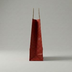Custom Printed Recyclable <b>Red</b> Kraft <b>Paper</b> Packaging Bag with Twisted Handle Classic Style - Product Image 2