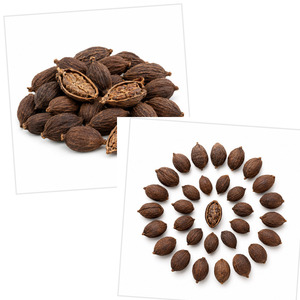 Big Sale Delicious Vietnam Manufacturer Supply Best Selling ISO Certificated Black Cardamom 25kg/bag - Product Image 4