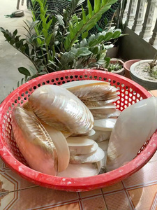 Madre de perla Servingware Natural Shell hecho a mano platos y cuencos para comedor decorativo uso Vietnam - Product Image 6