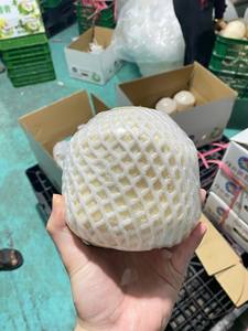 Noix de coco vietnamienne taillée au diamant de qualité supérieure avec eau douce pure prête à servir emballée pour l'exportation, vente en gros et vente au détail - Product Image 6