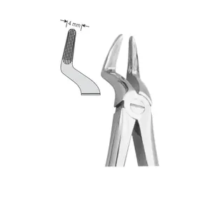 EXTRACTION FOCEPS Instrumentos quirúrgicos dentales de patrón inglés estándar con centrales y raíces superiores - Product Image 4