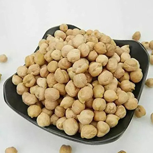 Garbanzos Kabuli Orgánicos Sin GMO a Granel para Venta al Por Mayor - Product Image 5
