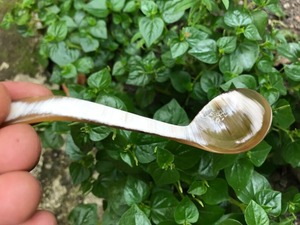 Handmade Modern Ethically Sourced Buffalo Horn Spoon <b>Mirror</b> Natural Durable Utensil for Party Caviar Honey Spice Salad Serving - Product Image 4