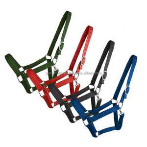 Lightweight Thick <b>Nylon</b> Webbing Comfortable <b>Nylon</b> Horse Halter in Vibrant Color and Custom Sizes at Factory Price - Product Image 6