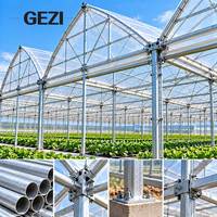 Serre à arche gothique multi-travées en acier galvanisé pour la culture commerciale de légumes, fleurs et la production agricole