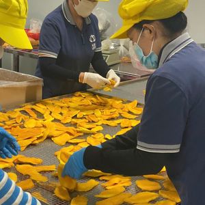 SAME DAY DISPATCH 2026 <b>Dried</b> <b>Mango</b> Strips Sweet Flavor, Great for Snack and Cooking Use, Safe Ingredients, Ready Stock - Product Image 4