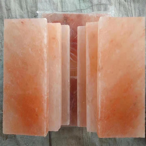 Briques de sel naturel de l'Himalaya pour la conception de murs de salles de sel, décoration intérieure de spa, fabricant Pakistan - Product Image 4