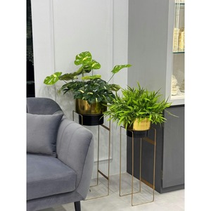 Juego de Macetas Metálicas Elegantes en Diferentes Tamaños, Macetas de Hierro Sólido para Decoración de Jardín, Accesorios para Macetas de la India - Product Image 5
