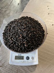 Pimienta Negra Vietnamita Premium 550g/l Grado ASTA, Especias Secas de Alta Calidad, Aroma Intenso, Estándar de Exportación para Procesamiento de Alimentos - Product Image 4