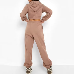 Conjunto Deportivo de 2 Piezas para Mujer, Sudadera Corta con Capucha, Pantalones Largos de Chándal, Estilo Casual Holgado, Sudadera con Capucha de Forro Polar, Atuendo Otoñal - Product Image 2