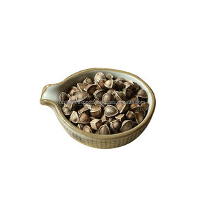 Fournisseur indien d'huile de graines de Moringa biologique pure de qualité supérieure à 100% pour la consommation humaine - Product Image 3