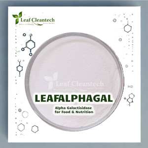 Alpha Galactosidase Enzyme pour la transformation des aliments-Soutien digestif-Réduit les anti-nutriments d'Inde | Enzymes alimentaires | - Product Image 1