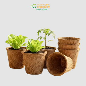 Pot en fibre de coco biodégradable - Pots en coco écologiques sur mesure pour plantes et fleurs de Eco2go Vietnam - Product Image 2
