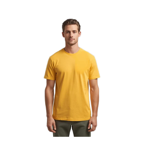 T-shirt pour homme, uni, manches courtes, coupe classique, extensible dans les deux sens, coton 100%, 250 g/m², production OEM/ODM - Product Image 1