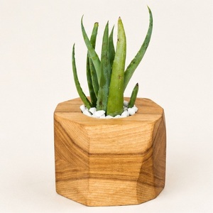 Maceta Hexagonal de Madera Hecha a Mano para Suculentas, Ecológica, Geométrica, de Madera Maciza, para Decoración de Interiores del Hogar y Oficina - Product Image 3