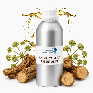 Huile Essentielle de Racine d'Angélique 100% Pure, Naturelle, Distillée à la Vapeur, Qualité Aromathérapie et Cosmétique, Vente en Gros - Product Image 1