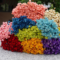Fleur de Gypsophile Séchée en Gros, Faite à la Main, Longue Durée (3-5 Ans), pour Table de Pâques