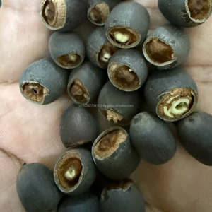 Bulk Premium Grade Dried Black Lotus Seeds From Vietnam | Moisture 14% Max 50kg PP Bags | Best Price for Large Orders - Product Image 4