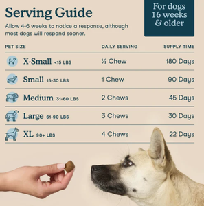 Suplemento Multivitamínico para Mascotas 10 en 1, en Tabletas Masticables y Polvo, Directo de Fábrica, Soporte OEM, Nutrición Diaria para Perros y Gatos - Product Image 4