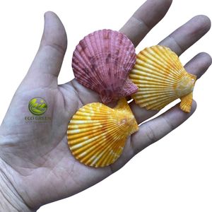 เปลือกหอยเชลล์ทรงกลม เป็นมิตรกับสิ่งแวดล้อม เปลือกหอยเวียดนาม งานแฮนด์เมด ของที่ระลึกทันสมัย ปรับแต่งได้ตามธรรมชาติ - Product Image 3