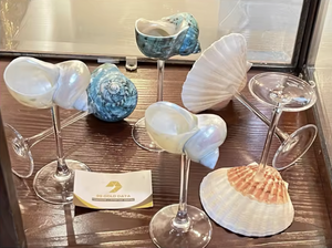 Natural Seashell Cup Handmade Shell <b>Container</b> for Jewelry Storage Home Decoration and Gift - Product Image 2