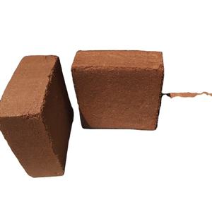 Faible coût EC, en solde - Product Image 3