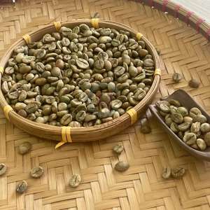 Envío Rápido, Granos de Café Verde Robusta Vietnamita de Alta Maduración, Tamaño 16/18/20, Suministro de Fábrica, Natural - Product Image 6