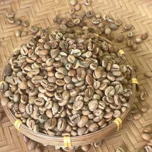 Granos de Café Robusta de Vietnam, Grado AA+, Tamaño 16, Proceso Honey, Exportación a Granel, Bolsas de 60 kg, Venta al Por Mayor - Product Image 6