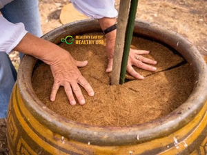 Anillo de Fibra de Coco para Cubrir Plantas, Biodegradable y Natural, para Árboles, Arbustos, Flores y Huertos, Eco2go Vietnam - Product Image 3