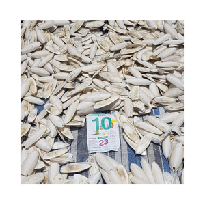กระดูกปลาหมึกแห้งสำหรับนกเคี้ยวเล่นและอุปกรณ์ดูแลจะงอยปาก - Product Image 6