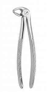 Forceps d'extraction dentaire pour racines inférieures, modèle anglais, en acier inoxydable, instrument manuel d'extraction dentaire certifié ISO - Product Image 5