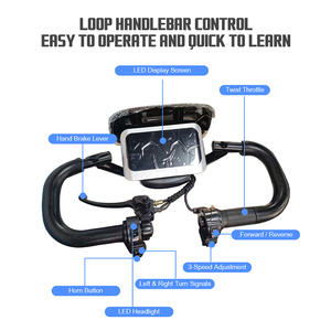 Vélo électrique de golf 600W en gros, longue autonomie, scooter électrique à <span class=keywords><strong>4</strong></span> roues pour adultes - Product Image 5