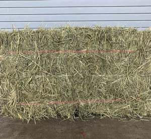 Foin de Timothy certifié, ensaché |   Prix compétitif |   Sans pesticides |   Pour la production d'aliments pour chevaux, animaux et animaux de compagnie |   Exportateur - Product Image 4